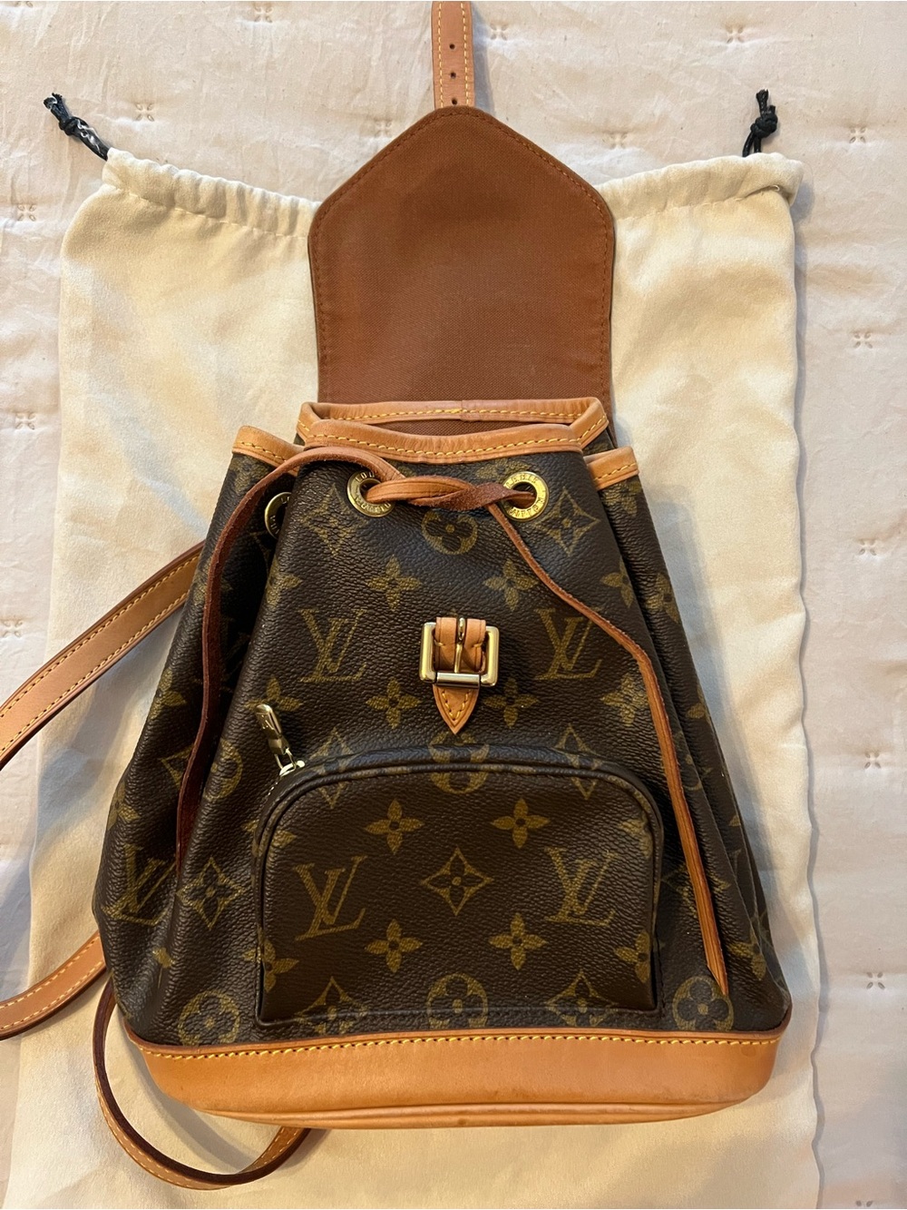 Louis Vuitton Monogram Drawstring Mini Backpack - Picture 7 of 7